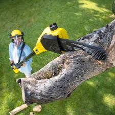 Reliable South Bradenton, FL Tree Removal and Landscaping Services Solutions